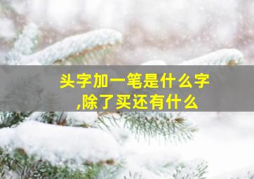 头字加一笔是什么字 ,除了买还有什么